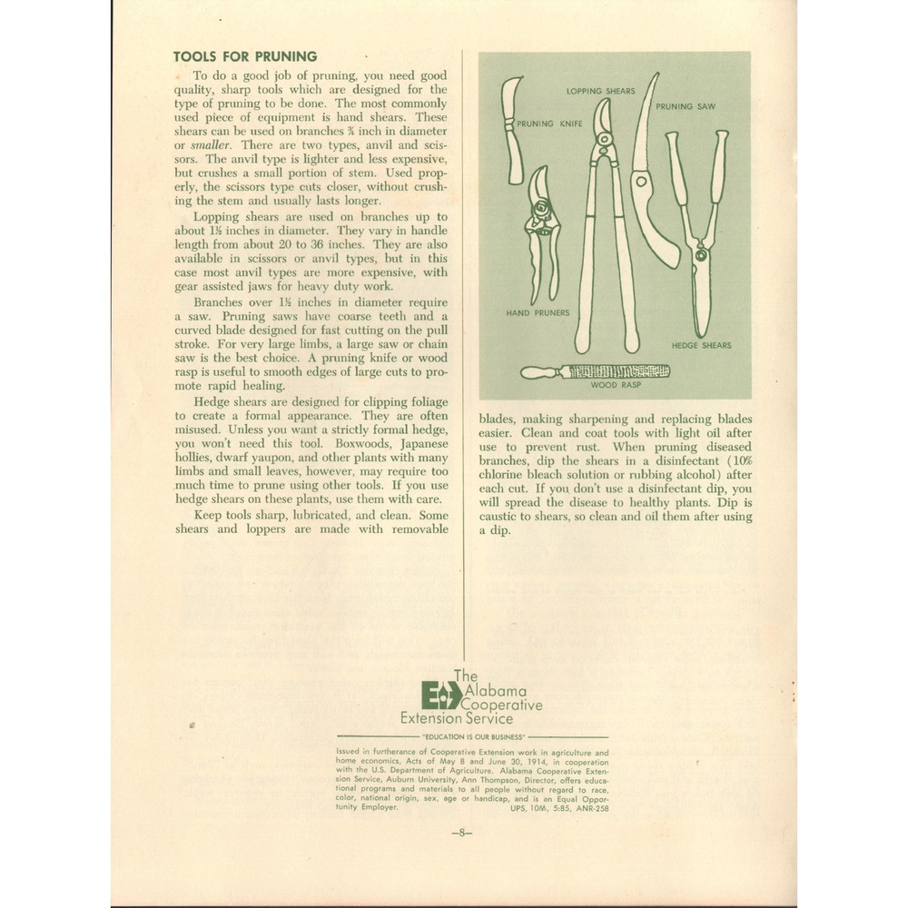 Pruning Ornamental Plants Alabama Cooperative Extension Circular ANR-258 Auburn - Picture 2 of 3
